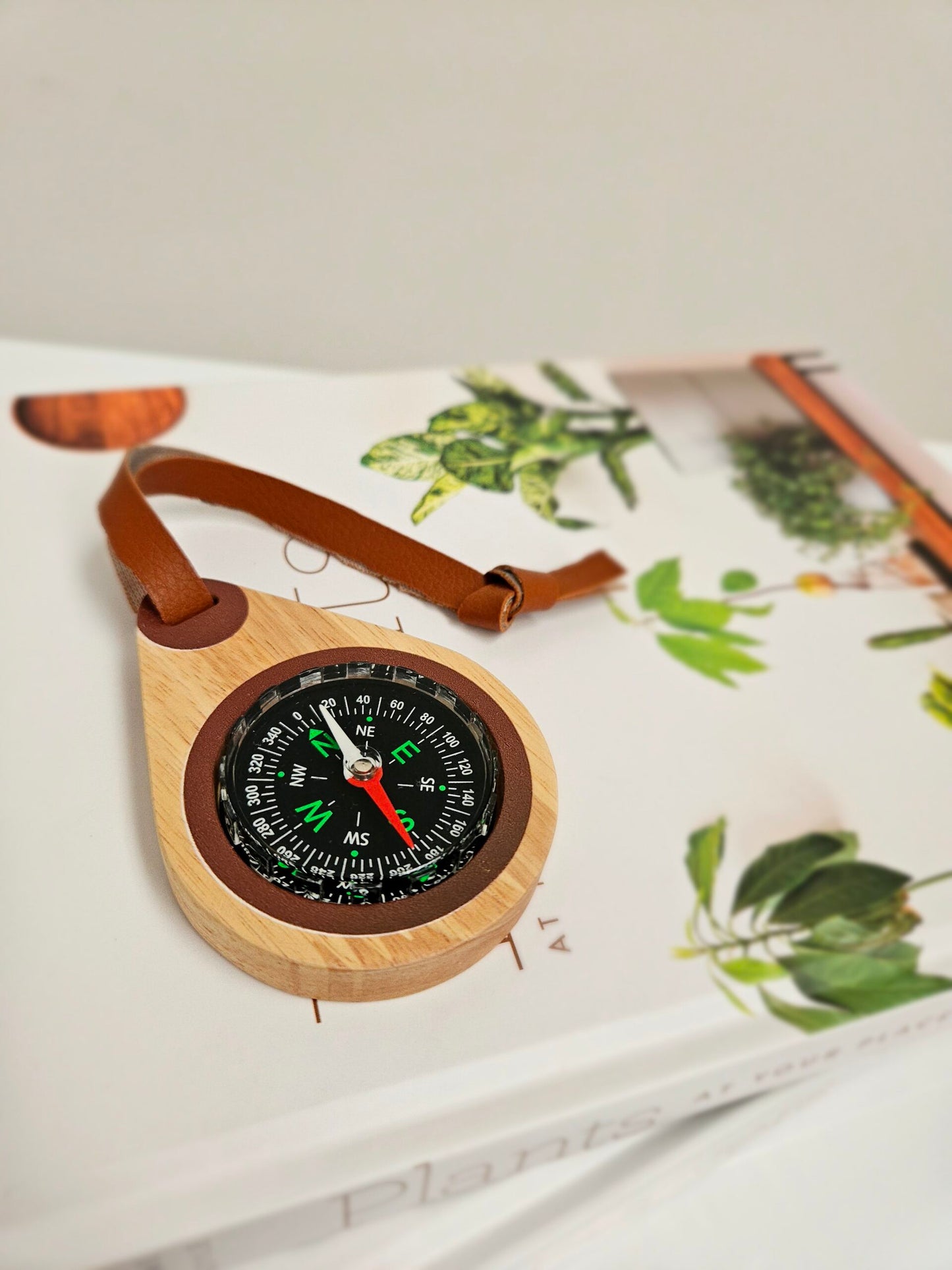 Wooden compass