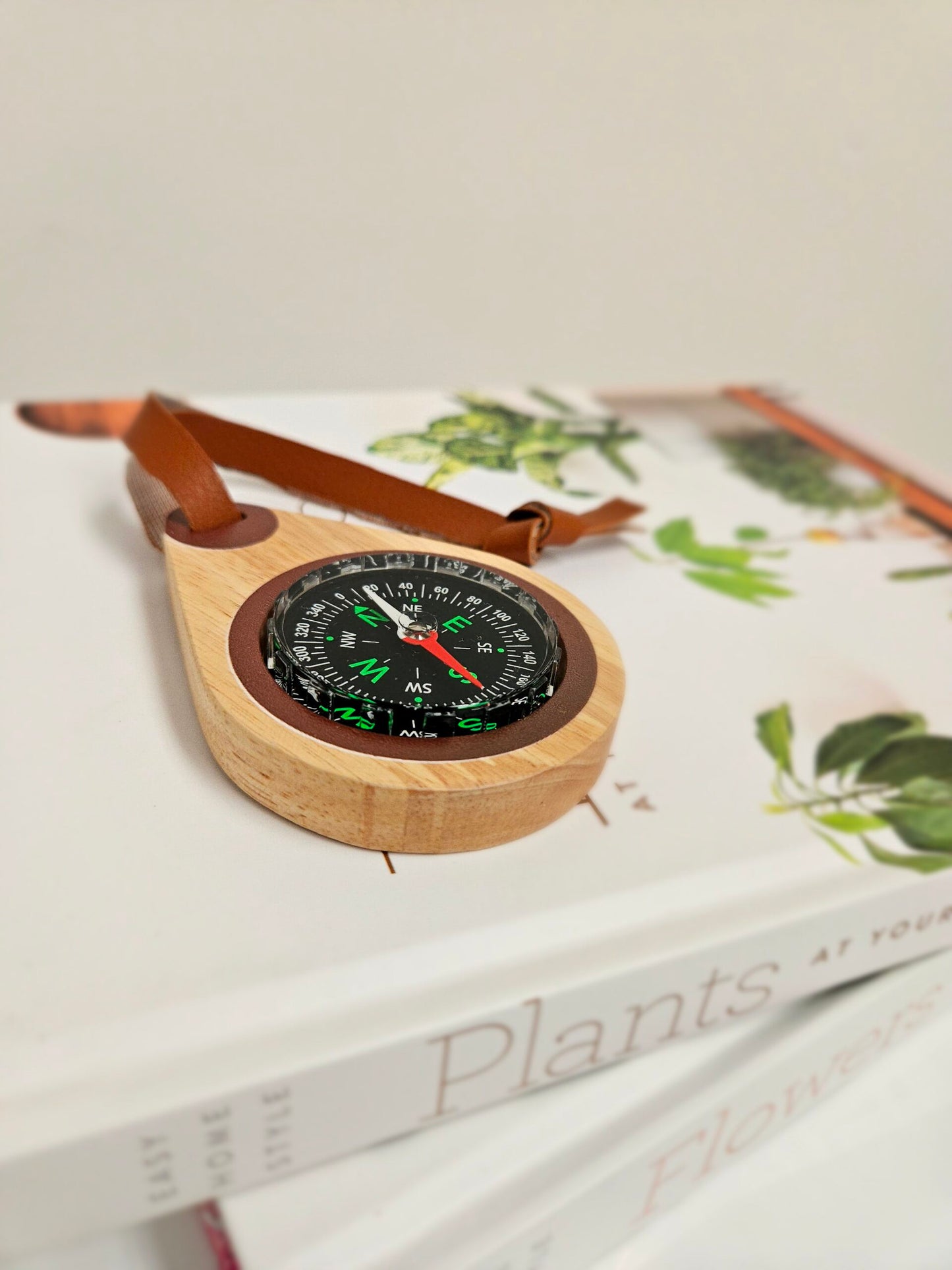 Wooden compass
