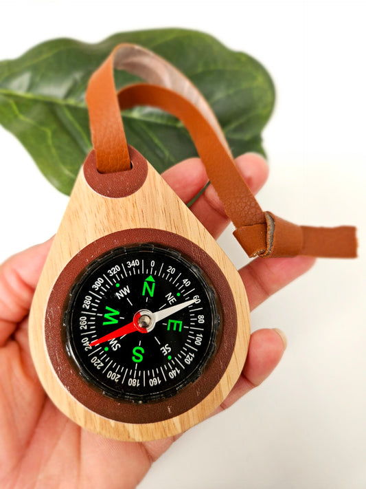 Wooden compass